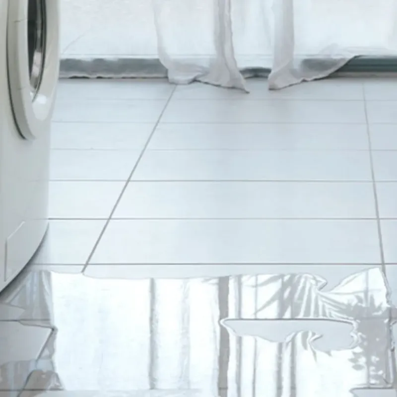 Appliance Leak Cleanup in Trenton, ME