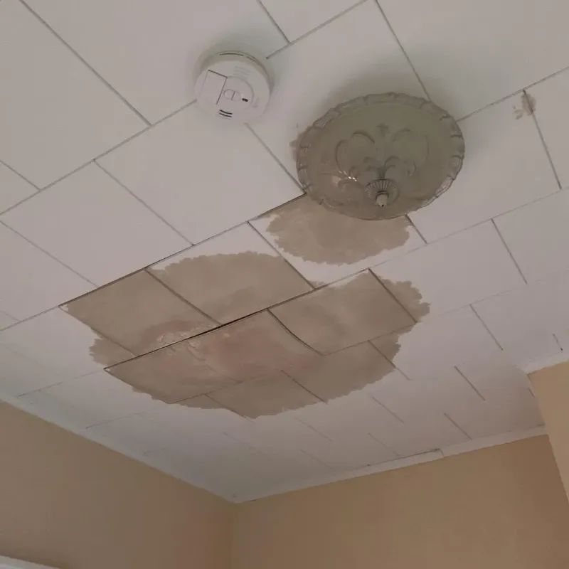 Ceiling Water Damage Repair in Trenton, ME