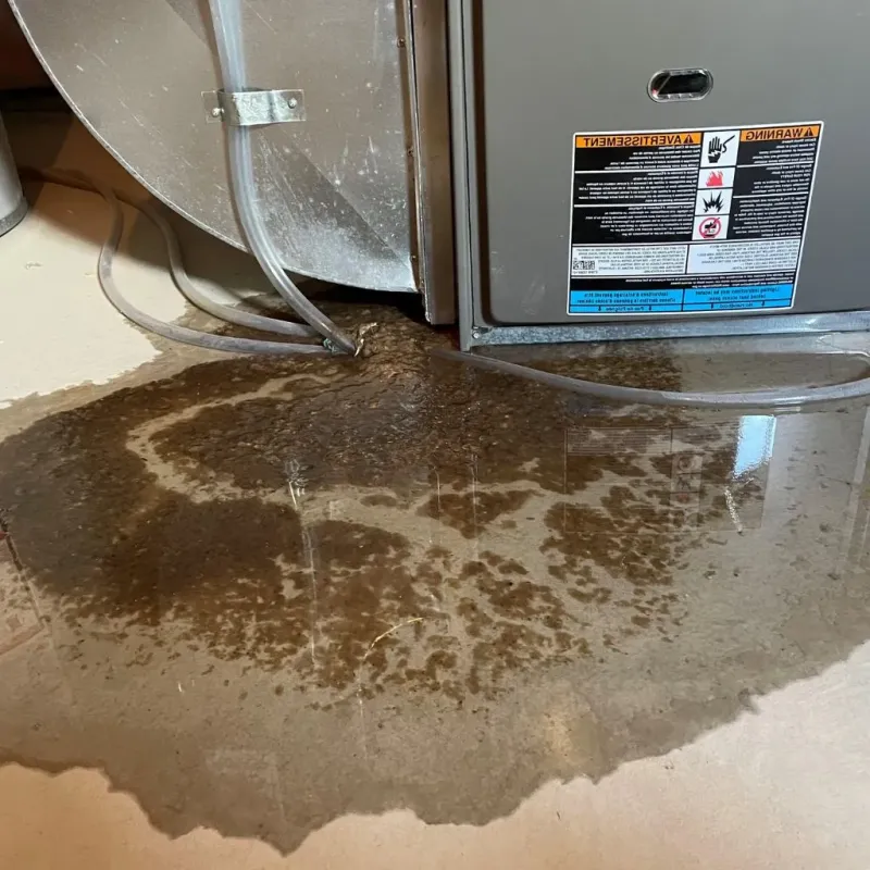 Pipe Burst and Leak Restoration in Trenton, ME